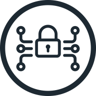 icon security